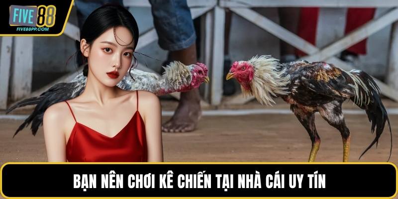 Cách Chơi Đá Gà – Hướng Dẫn Chi Tiết Cho Bạn Mới Tham Gia 3 Bạn nên chơi kê chiến tại nhà cái uy tín