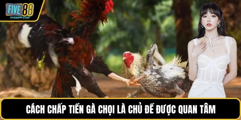 Cách Chấp Tiền Gà Chọi – Chi Tiết Quy Định Và Các Mức 1 Cách chấp tiền gà chọi là chủ đề được quan tâm