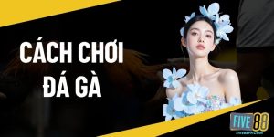 Cách chơi đá gà