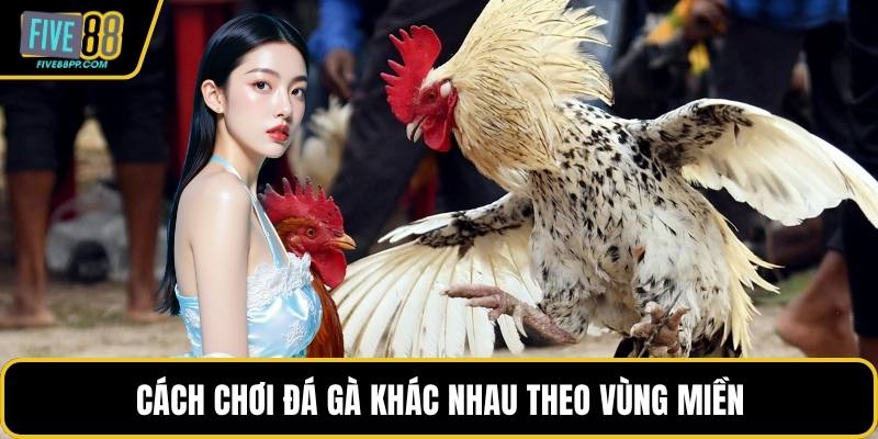 Cách Chơi Đá Gà – Hướng Dẫn Chi Tiết Cho Bạn Mới Tham Gia 1 Cách chơi đá gà khác nhau theo vùng miền