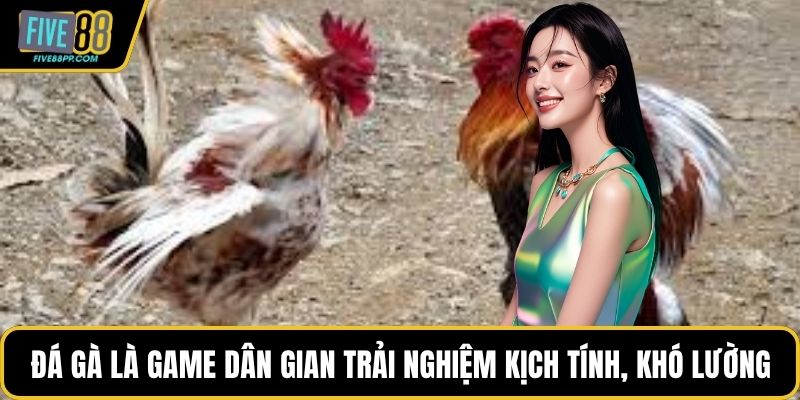 FIVE88 5 Đá gà là game dân gian trải nghiệm kịch tính, khó lường