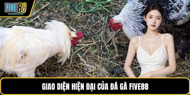 Giao diện hiện đại của đá gà FIVE88