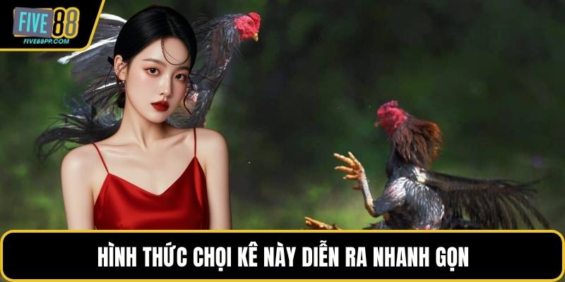 Luật Đá Gà Miền Nam – Quy Định Chuẩn Và Ưu Điểm Nổi Bật 3 Hình thức chọi kê này diễn ra nhanh gọn