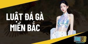 Luật đá gà miền Bắc