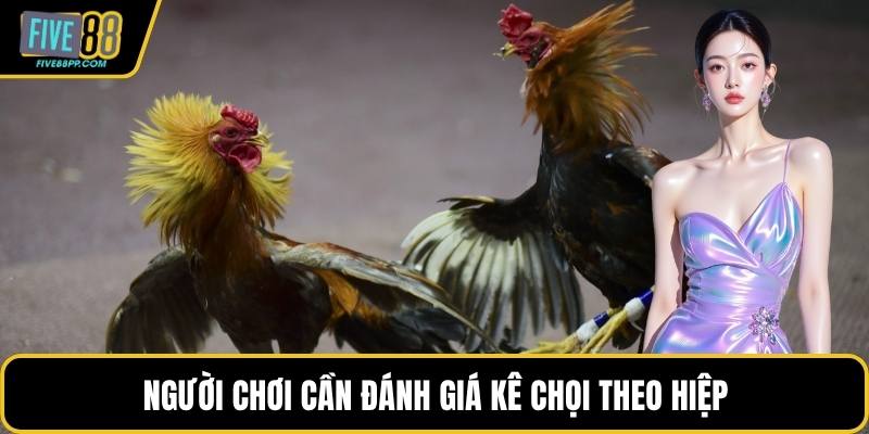 Cách Chấp Tiền Gà Chọi – Chi Tiết Quy Định Và Các Mức 3 Người chơi cần đánh giá kê chọi theo hiệp