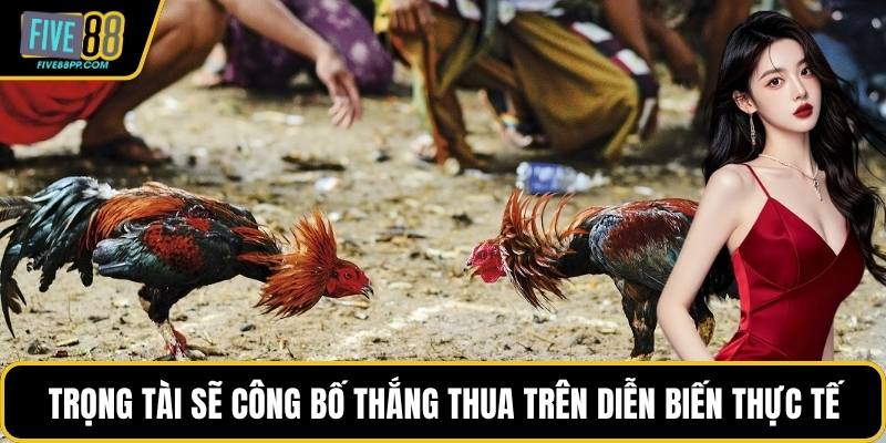 Luật Đá Gà Miền Nam – Quy Định Chuẩn Và Ưu Điểm Nổi Bật 2 Trọng tài sẽ công bố thắng thua trên diễn biến thực tế